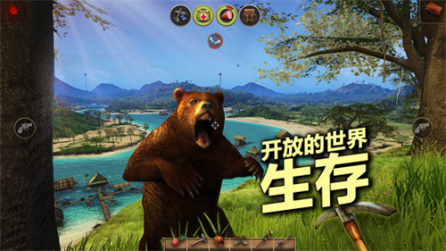 辐射岛正版