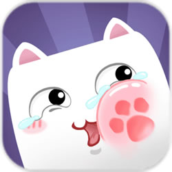 猫多米诺:打脸的艺术