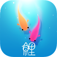 鲤