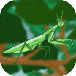 螳螂猎手(测试版)