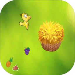 送流浪小鸟回家