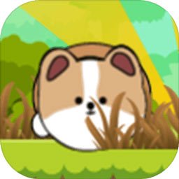 滚滚狗(测试版)