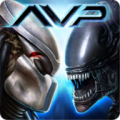 AVP进化