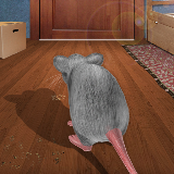 家庭老鼠模拟器3D