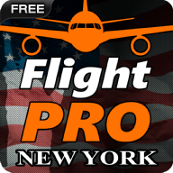 专业飞行模拟器:纽约