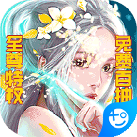 真龙传奇海量版
