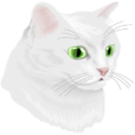猫与幽灵之路