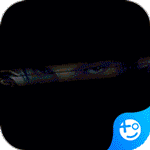 东方奇缘(送万元充值)