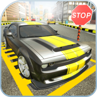 2020年城市汽车驾驶学院