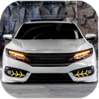 汉化版:公民驾驶