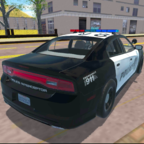 美国警车驾驶