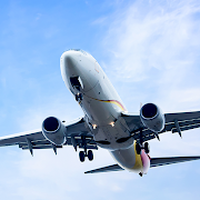 国际飞行模拟器