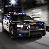 城市警车驾驶
