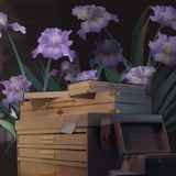 11号小镇综合症