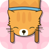 猫团