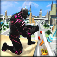 散装黑豹飞行英雄游戏