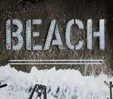 Beach Invasion 1944