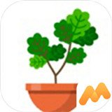 植物日志