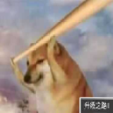 升级之路