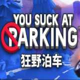 狂野泊车
