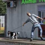 动物导师模拟器