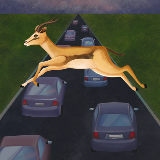 动物高速公路