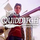 哈利波特魁地奇冠军