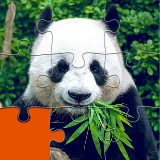 拼图世界