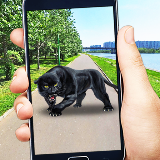 抓口袋里的野兽