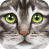 终极猫模拟器
