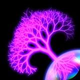 roots星际战争