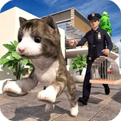 极速流浪猫