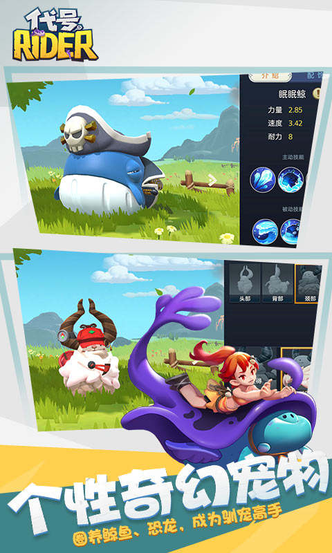 代号:Rider(骑宠竞技)
