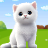 猫的生活