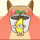 香蕉猫捉迷藏