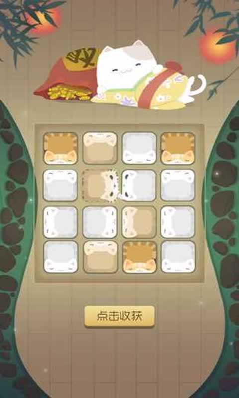 猫多米诺:打脸的艺术