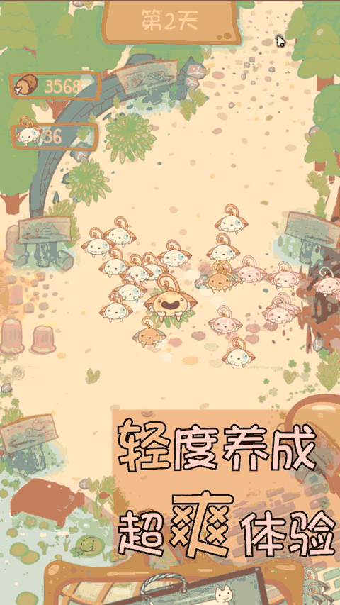 猫咪生存日记