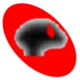 黑色星期五之夜电摇嘲讽