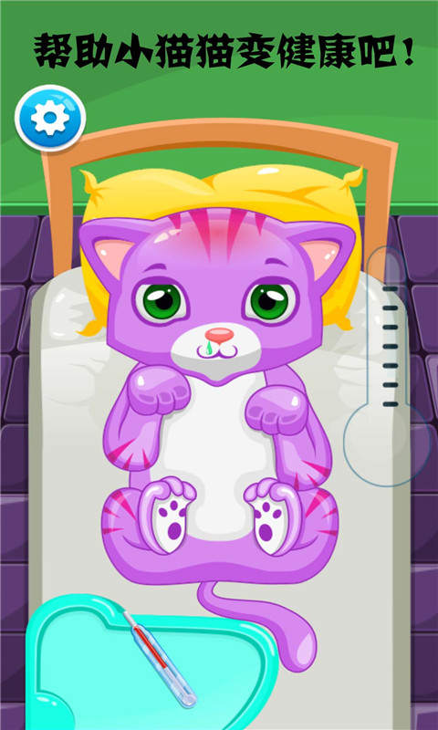 小猫医生
