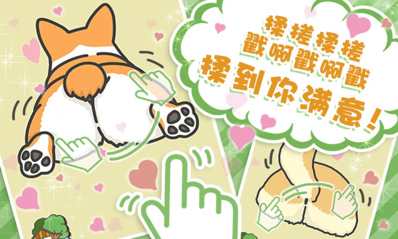狗狗的屁股