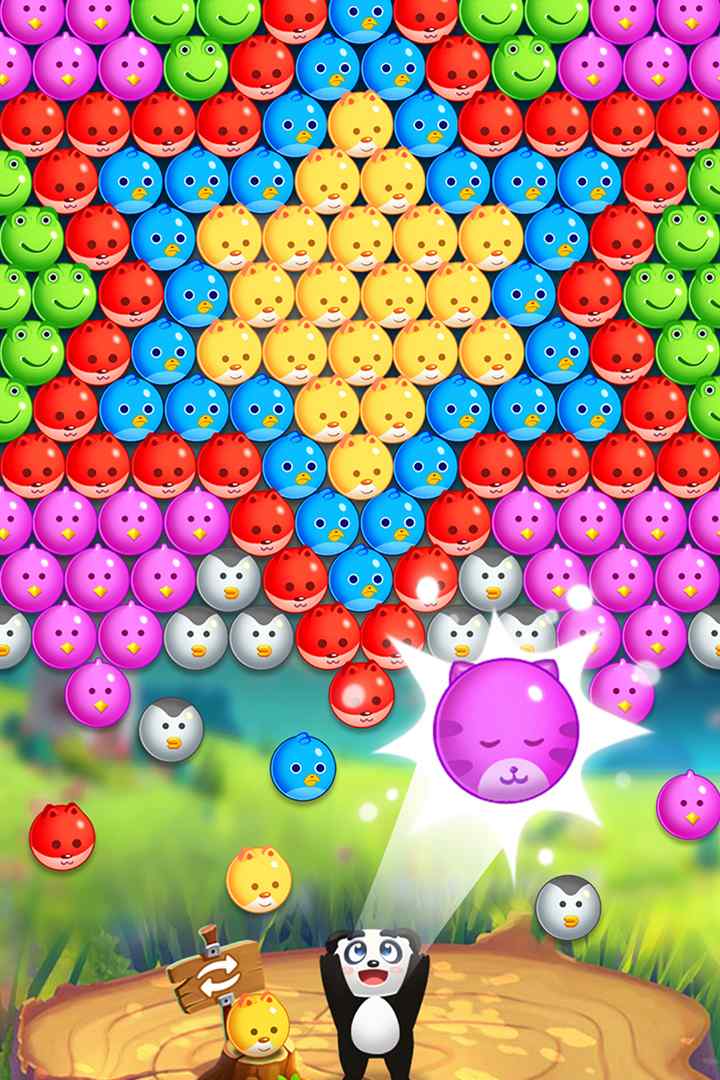 u5ba0u7269u6ce1u6ce1u9f99