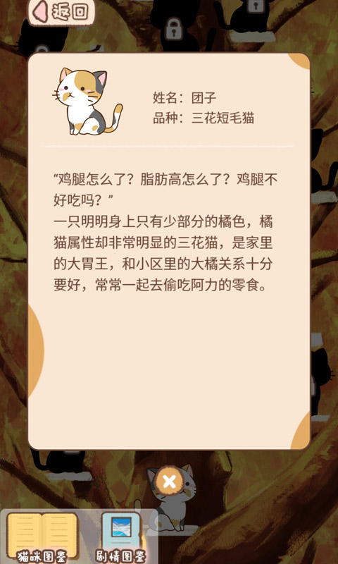 猫宅97