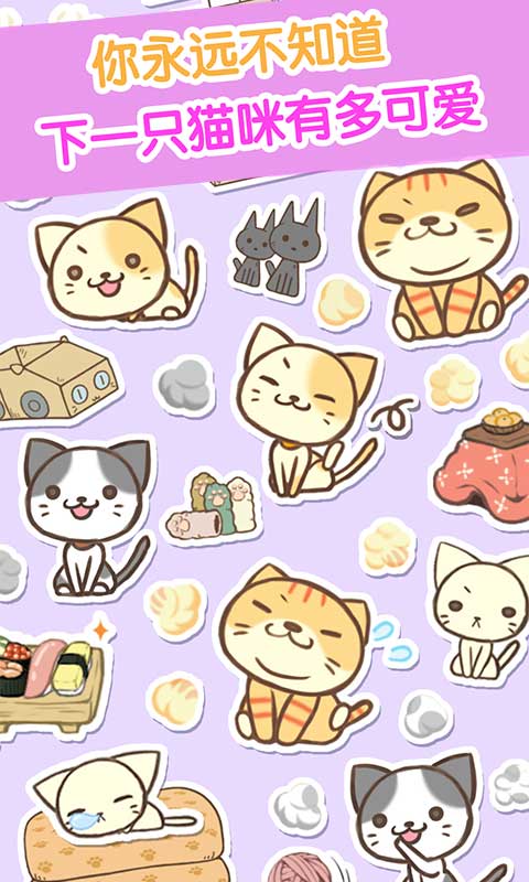 猫咪:杂货物语-ins最红的猫