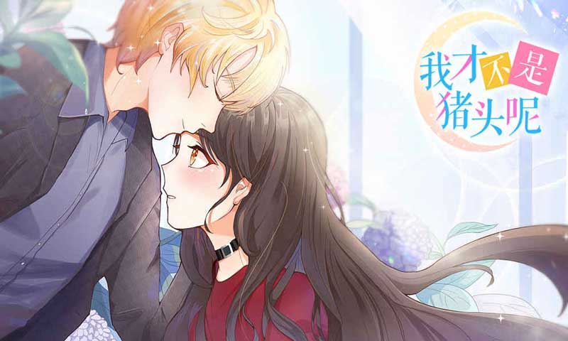 我才不是猪头呢