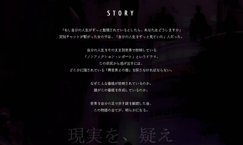 Non Fiction Report