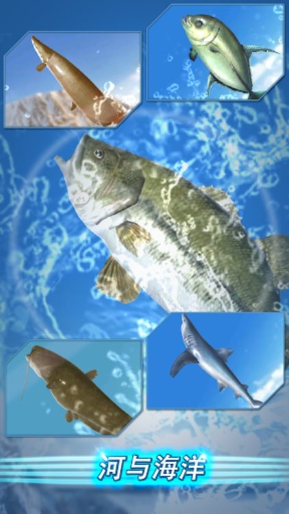 Fishing Season :River to ocean