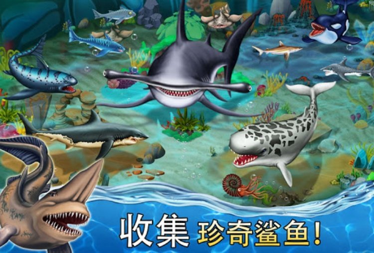 Shark World