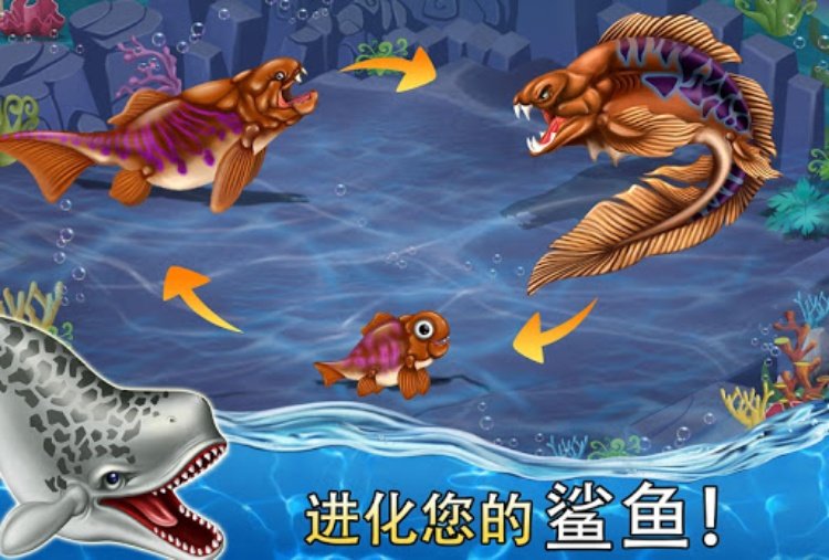Shark World