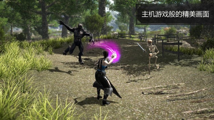Evil Lands: Online Action RPG