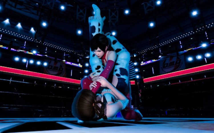 摔跤妇女不好的战斗戒指